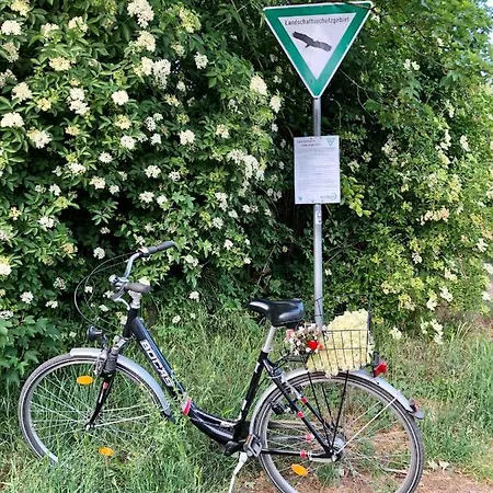 Koeniglicher Aufenthalt Inmitten Der