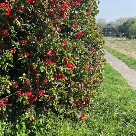 Appartement Koeniglicher Aufenthalt Inmitten Der *