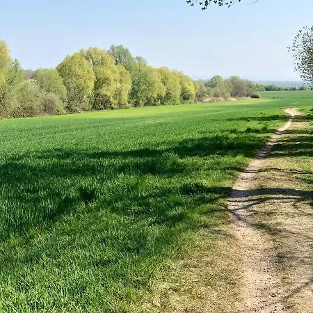 Koeniglicher Aufenthalt Inmitten Der