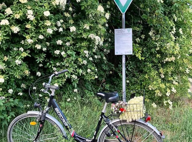 Koeniglicher Aufenthalt Inmitten Der