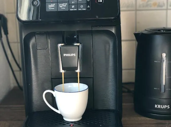 Koeniglicher Aufenthalt Inmitten Der 胡尔特