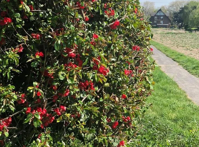 公寓 Koeniglicher Aufenthalt Inmitten Der *