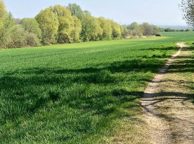 Koeniglicher Aufenthalt Inmitten Der